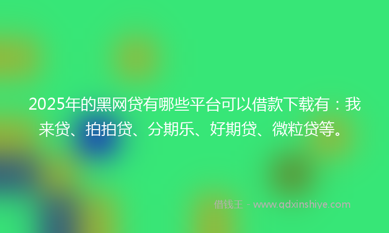 2025年的黑网贷有哪些平台可以借款下载有：我来贷、拍拍贷、分期乐、好期贷、微粒贷等。