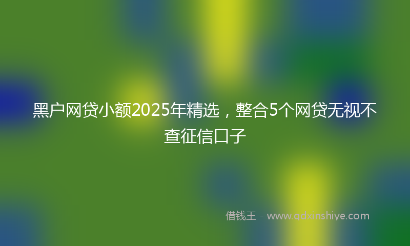 黑户网贷小额2025年精选，整合5个网贷无视不查征信口子