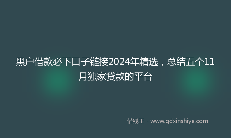 黑户借款必下口子链接2024年精选，总结五个11月独家贷款的平台