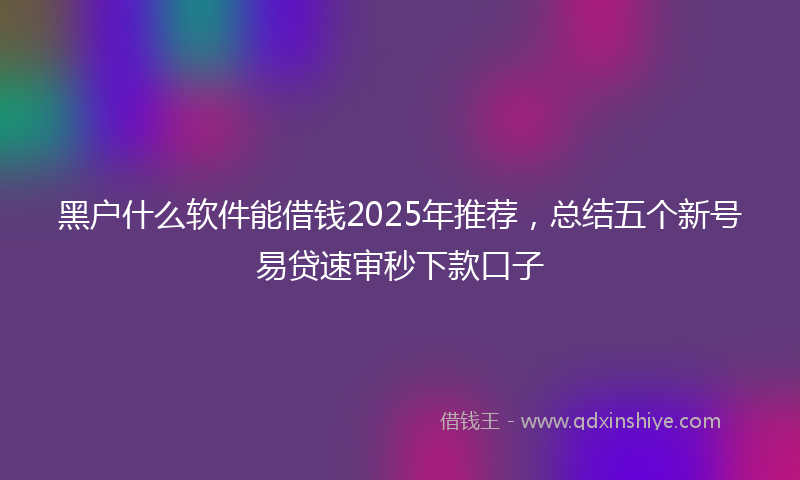 黑户什么软件能借钱2025年推荐，总结五个新号易贷速审秒下款口子