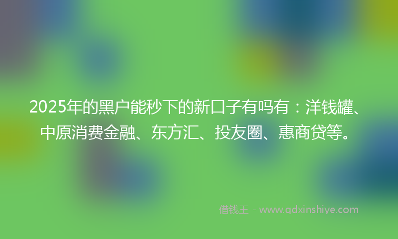 2025年的黑户能秒下的新口子有吗有：洋钱罐、中原消费金融、东方汇、投友圈、惠商贷等。