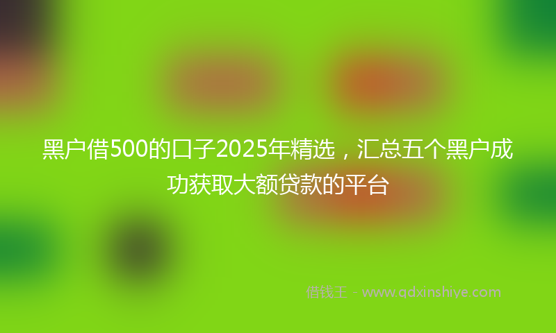 黑户借500的口子2025年精选，汇总五个黑户成功获取大额贷款的平台