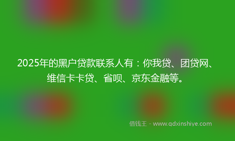 2025年的黑户贷款联系人有：你我贷、团贷网、维信卡卡贷、省呗、京东金融等。