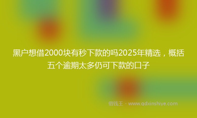 黑户想借2000块有秒下款的吗2025年精选，概括五个逾期太多仍可下款的口子