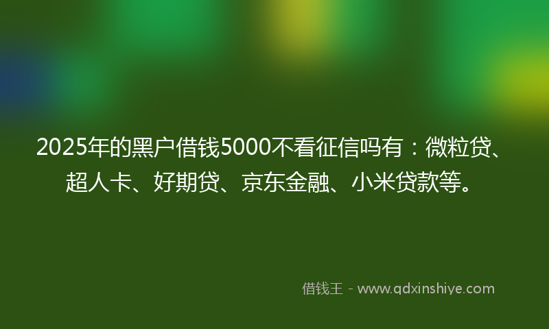 2025年的黑户借钱5000不看征信吗有：微粒贷、超人卡、好期贷、京东金融、小米贷款等。