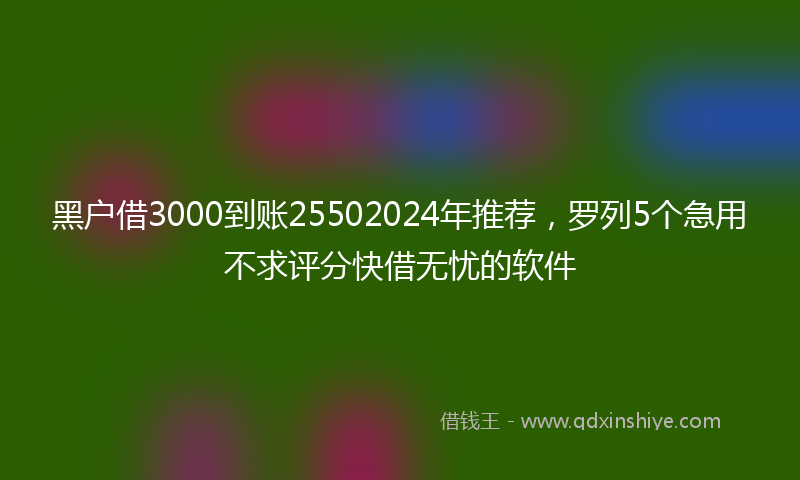 黑户借3000到账25502024年推荐，罗列5个急用不求评分快借无忧的软件