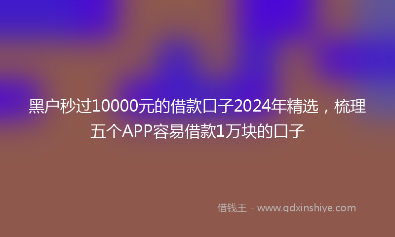 黑户秒过10000元的借款口子2024年精选，梳理五个APP容易借款1万块的口子