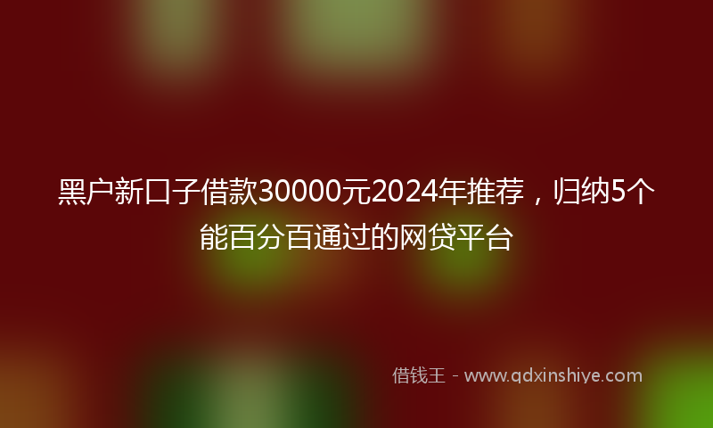 黑户新口子借款30000元2024年推荐，归纳5个能百分百通过的网贷平台