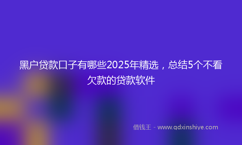 黑户贷款口子有哪些2025年精选，总结5个不看欠款的贷款软件