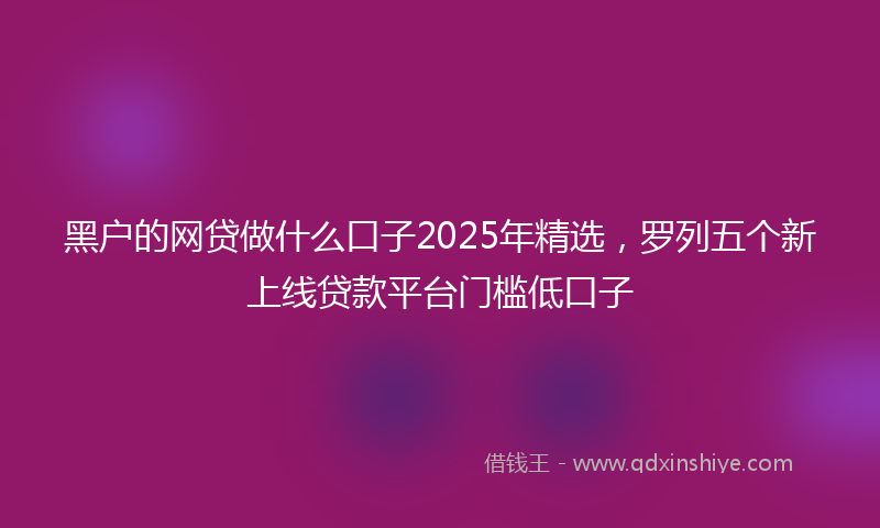 黑户的网贷做什么口子2025年精选，罗列五个新上线贷款平台门槛低口子