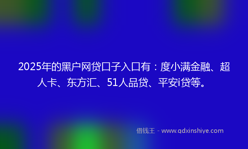 2025年的黑户网贷口子入口有：度小满金融、超人卡、东方汇、51人品贷、平安i贷等。
