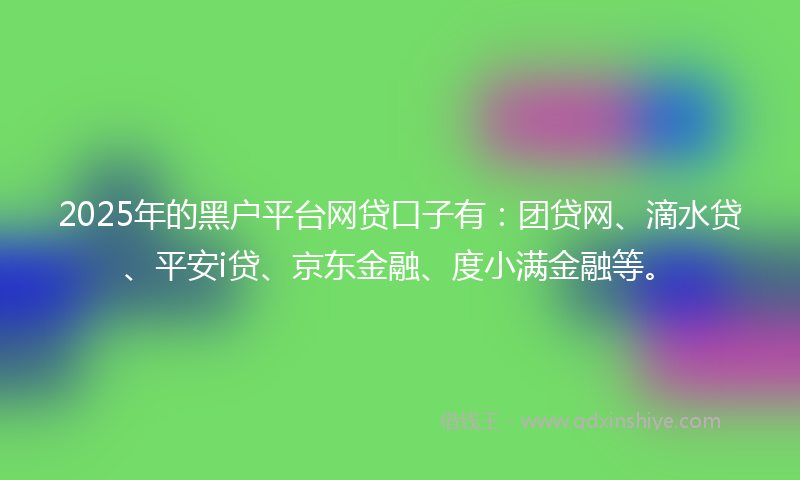 2025年的黑户平台网贷口子有：团贷网、滴水贷、平安i贷、京东金融、度小满金融等。