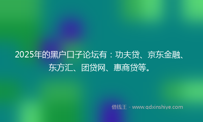 2025年的黑户口子论坛有：功夫贷、京东金融、东方汇、团贷网、惠商贷等。