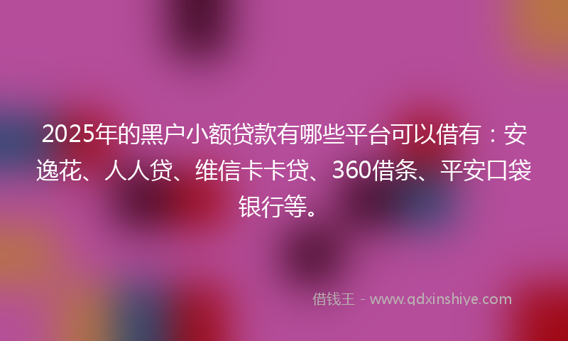 2025年的黑户小额贷款有哪些平台可以借有：安逸花、人人贷、维信卡卡贷、360借条、平安口袋银行等。