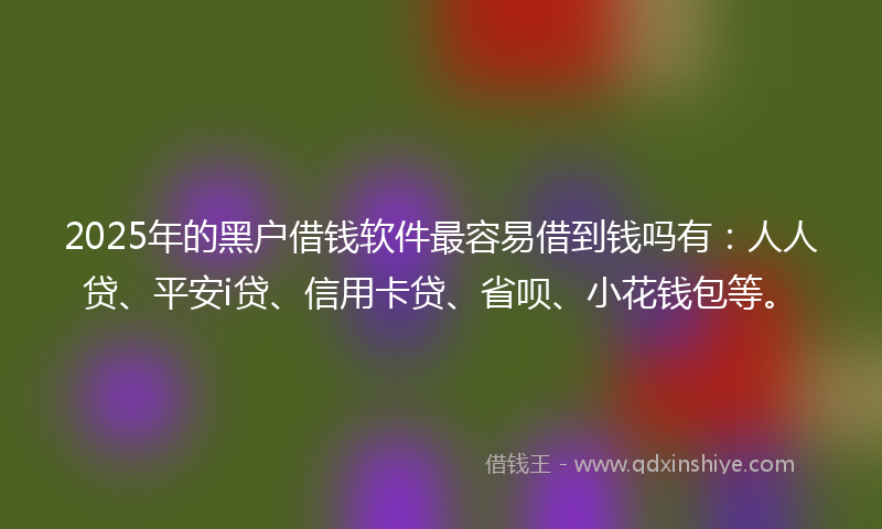 2025年的黑户借钱软件最容易借到钱吗有：人人贷、平安i贷、信用卡贷、省呗、小花钱包等。