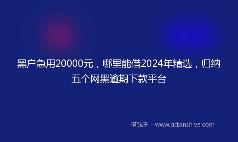 黑户急用20000元，哪里能借2024年精选，归纳五个网黑逾期下款平台