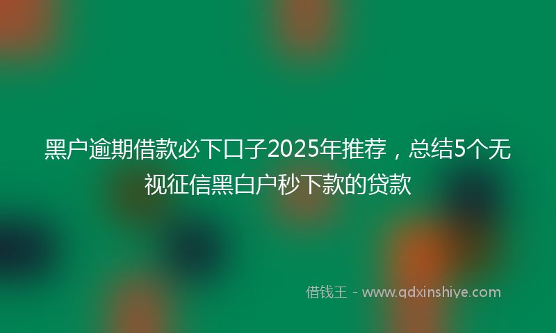 黑户逾期借款必下口子2025年推荐，总结5个无视征信黑白户秒下款的贷款