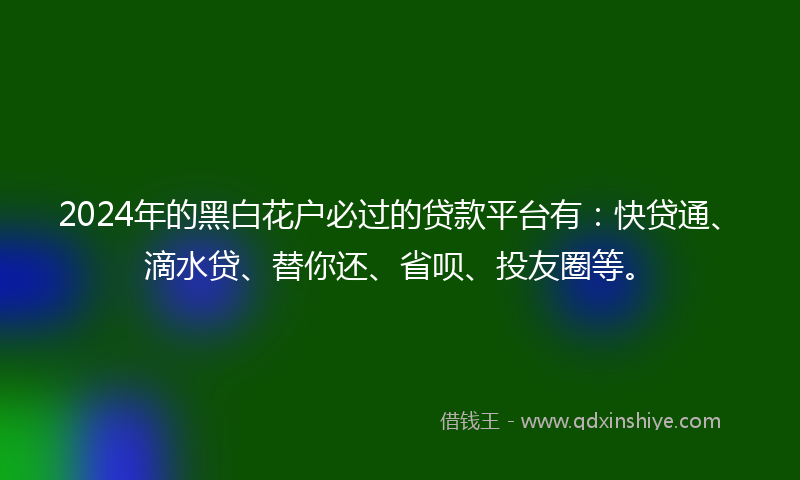 2024年的黑白花户必过的贷款平台有：快贷通、滴水贷、替你还、省呗、投友圈等。