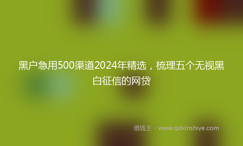 黑户急用500渠道2024年精选，梳理五个无视黑白征信的网贷