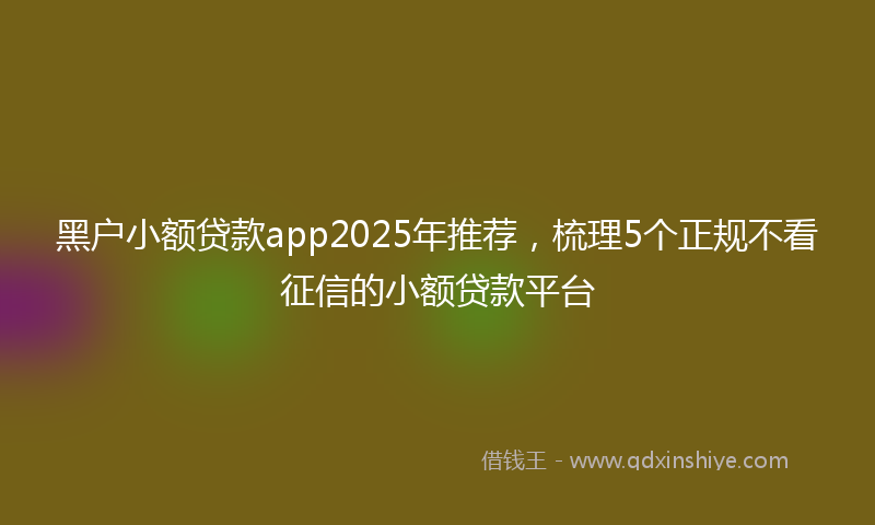 黑户小额贷款app2025年推荐，梳理5个正规不看征信的小额贷款平台
