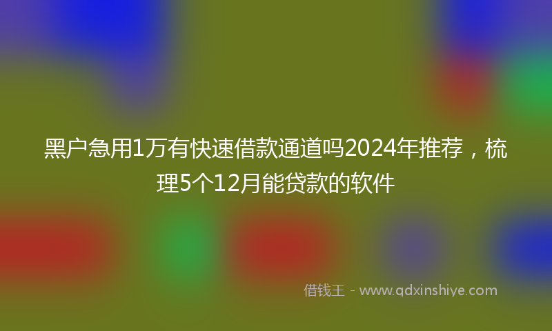 黑户急用1万有快速借款通道吗2024年推荐，梳理5个12月能贷款的软件