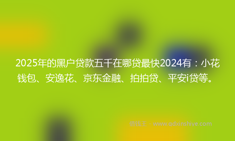 2025年的黑户贷款五千在哪贷最快2024有：小花钱包、安逸花、京东金融、拍拍贷、平安i贷等。