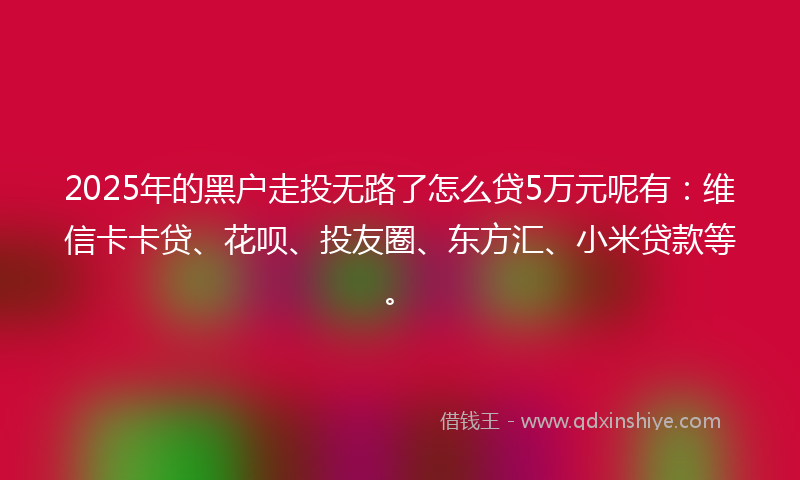 2025年的黑户走投无路了怎么贷5万元呢有：维信卡卡贷、花呗、投友圈、东方汇、小米贷款等。