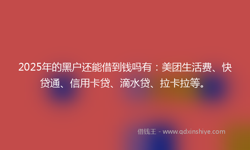 2025年的黑户还能借到钱吗有：美团生活费、快贷通、信用卡贷、滴水贷、拉卡拉等。