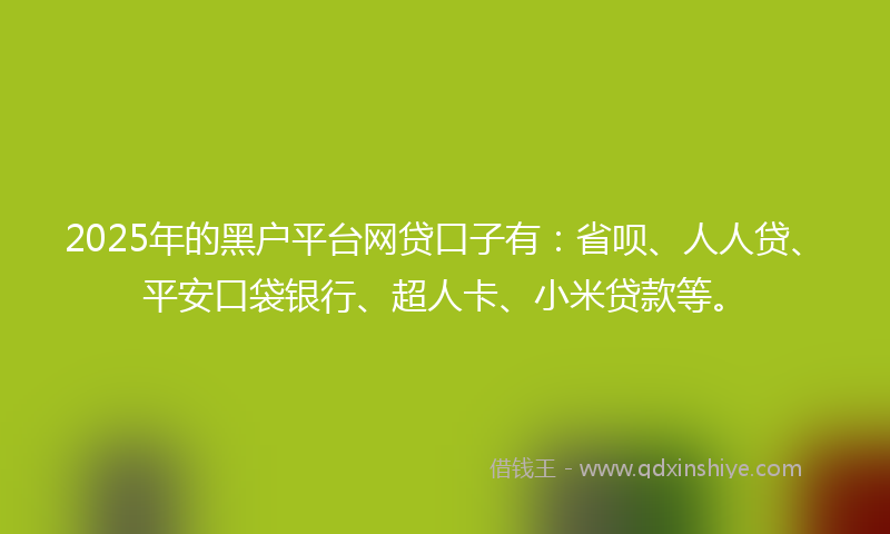 2025年的黑户平台网贷口子有：省呗、人人贷、平安口袋银行、超人卡、小米贷款等。