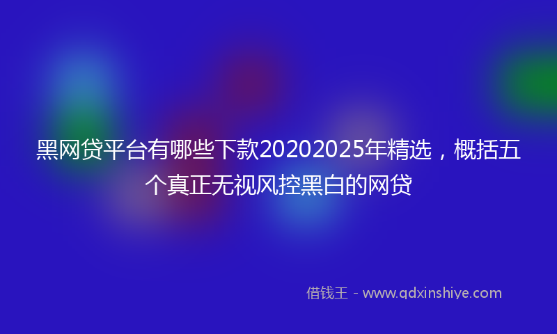 黑网贷平台有哪些下款20202025年精选，概括五个真正无视风控黑白的网贷