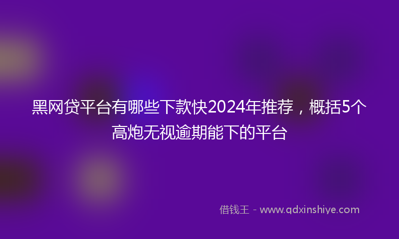 黑网贷平台有哪些下款快2024年推荐，概括5个高炮无视逾期能下的平台