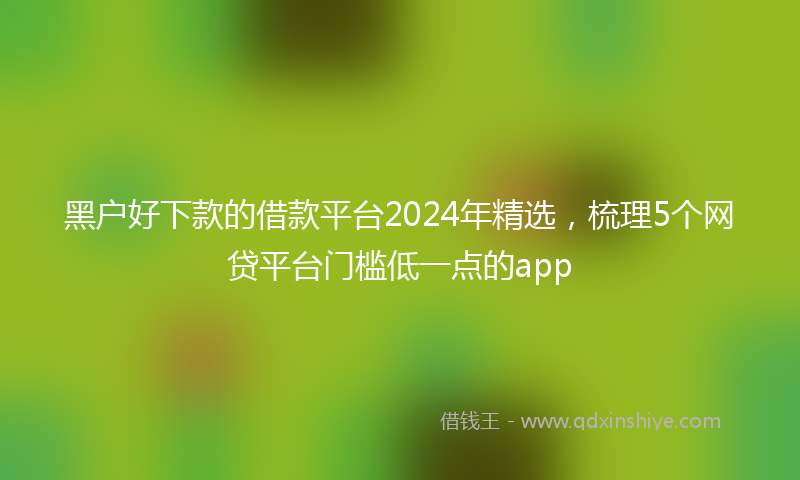 黑户好下款的借款平台2024年精选，梳理5个网贷平台门槛低一点的app
