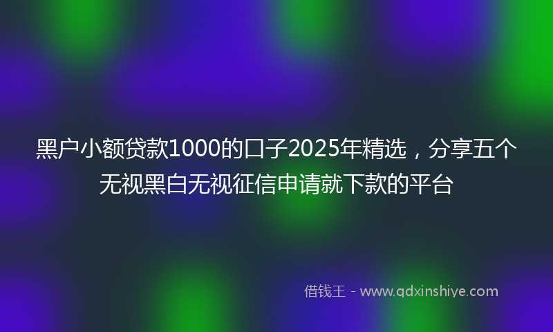黑户小额贷款1000的口子2025年精选，分享五个无视黑白无视征信申请就下款的平台