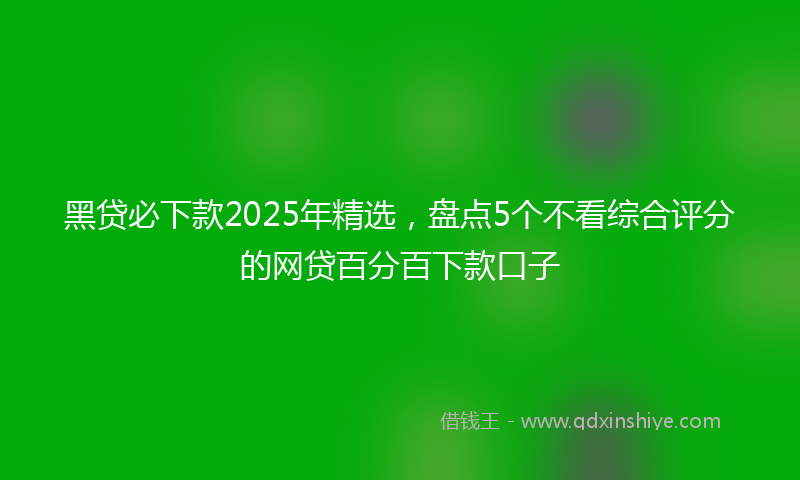 黑贷必下款2025年精选，盘点5个不看综合评分的网贷百分百下款口子