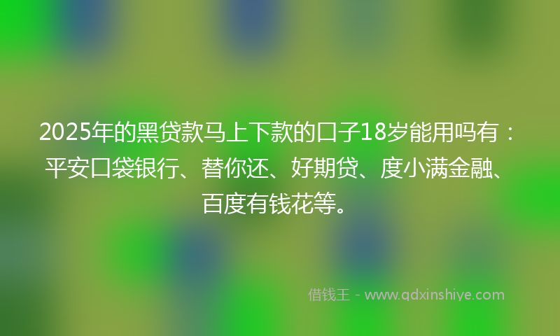 2025年的黑贷款马上下款的口子18岁能用吗有：平安口袋银行、替你还、好期贷、度小满金融、百度有钱花等。