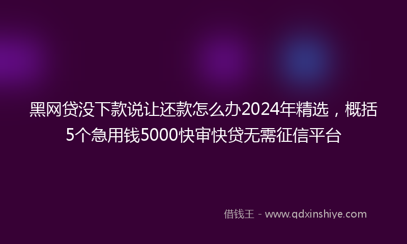 黑网贷没下款说让还款怎么办2024年精选，概括5个急用钱5000快审快贷无需征信平台