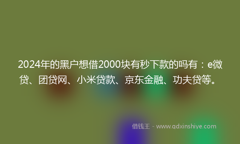 2024年的黑户想借2000块有秒下款的吗有：e微贷、团贷网、小米贷款、京东金融、功夫贷等。