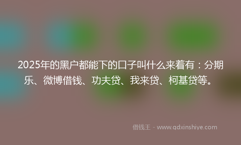 2025年的黑户都能下的口子叫什么来着有：分期乐、微博借钱、功夫贷、我来贷、柯基贷等。