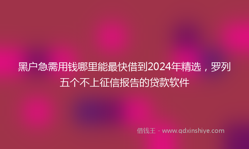 黑户急需用钱哪里能最快借到2024年精选，罗列五个不上征信报告的贷款软件
