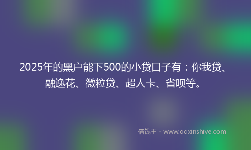 2025年的黑户能下500的小贷口子有：你我贷、融逸花、微粒贷、超人卡、省呗等。