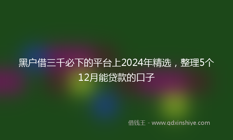 黑户借三千必下的平台上2024年精选，整理5个12月能贷款的口子