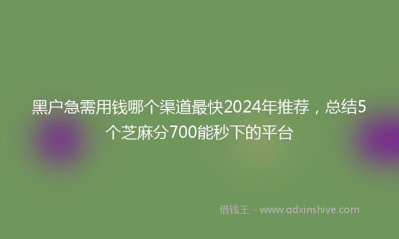 黑户急需用钱哪个渠道最快2024年推荐，总结5个芝麻分700能秒下的平台