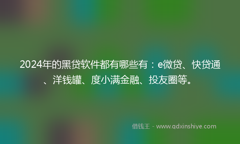 2024年的黑贷软件都有哪些有：e微贷、快贷通、洋钱罐、度小满金融、投友圈等。