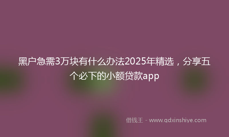 黑户急需3万块有什么办法2025年精选，分享五个必下的小额贷款app