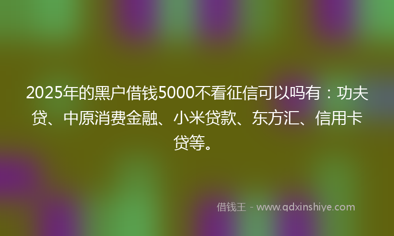 2025年的黑户借钱5000不看征信可以吗有：功夫贷、中原消费金融、小米贷款、东方汇、信用卡贷等。