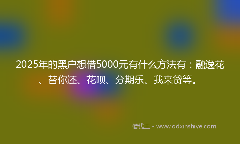 2025年的黑户想借5000元有什么方法有：融逸花、替你还、花呗、分期乐、我来贷等。