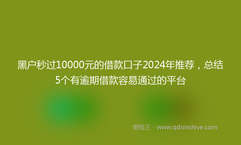 黑户秒过10000元的借款口子2024年推荐，总结5个有逾期借款容易通过的平台