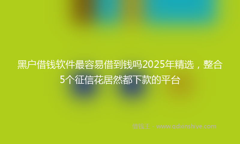 黑户借钱软件最容易借到钱吗2025年精选，整合5个征信花居然都下款的平台