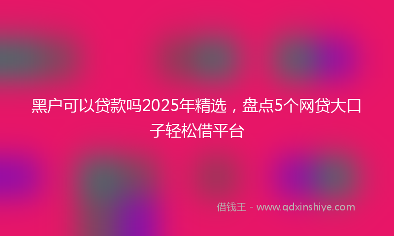黑户可以贷款吗2025年精选，盘点5个网贷大口子轻松借平台