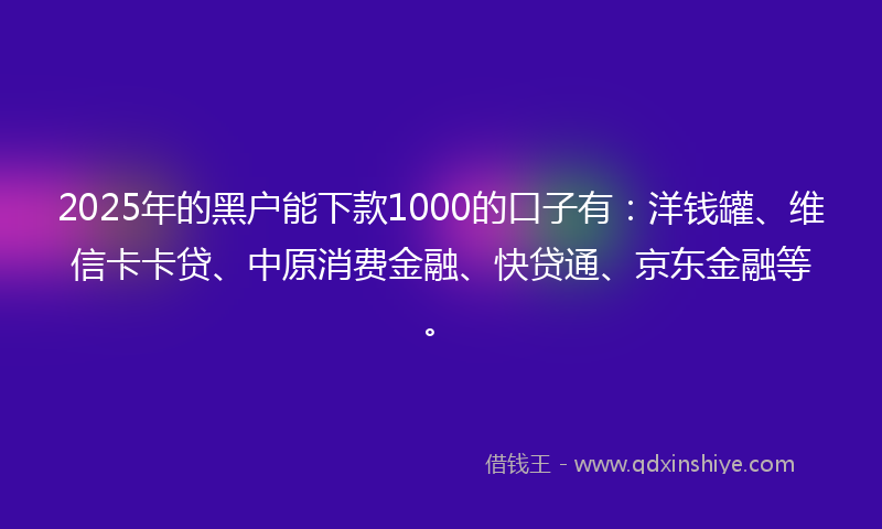 2025年的黑户能下款1000的口子有：洋钱罐、维信卡卡贷、中原消费金融、快贷通、京东金融等。